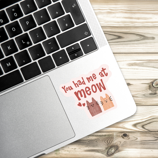 You Had Me at Meow Sticker | Cute Cat Pun Vinyl Decal | Cat Lover Gift | Kitty Sticker | Animal Lover Aesthetic