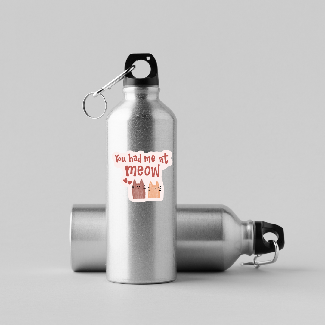 You Had Me at Meow Sticker | Cute Cat Pun Vinyl Decal | Cat Lover Gift | Kitty Sticker | Animal Lover Aesthetic