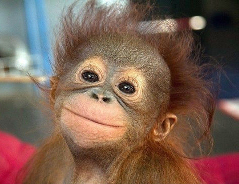 How do you make room for your own trauma when the world is going through it?