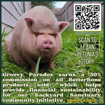 BetterBone MEDIUM Durability CHEW TOY: Perfect Chew for Everyday Chewers | Natural Ingredients, Eco-Friendly, Non-Toxic