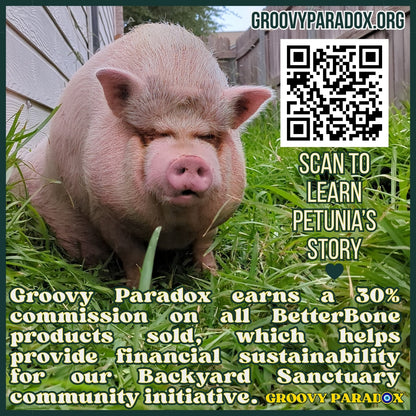Pig in grass with QR code and text overlay on Groovyparadox.org