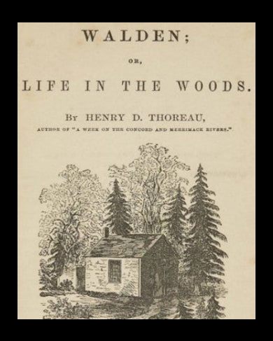 Book cover of 'Walden; or, Life in the Woods' by Henry D. Thoreau with a cabin and trees illustration.