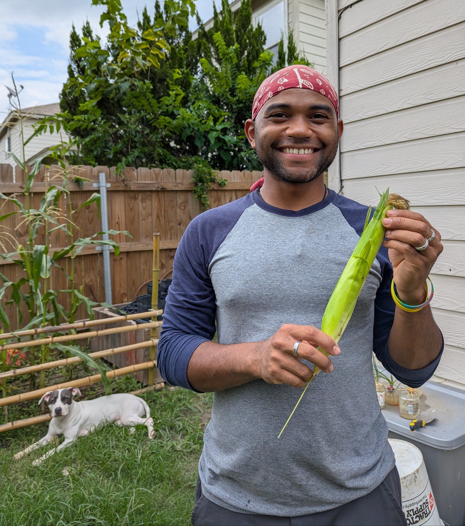 Man holding a large green leafy corn vegetable in a backyard with a dog, garden, and house in the background