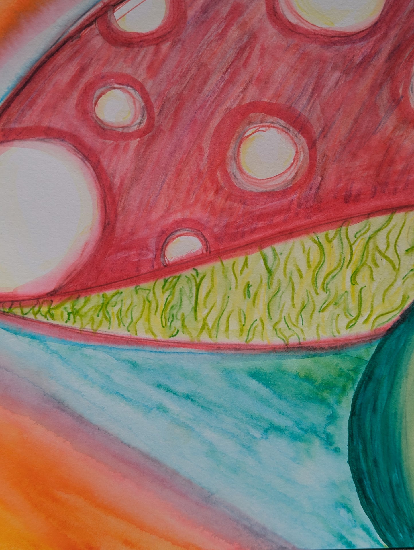 sunset mushroom - watercolor painting by vanessa hoo